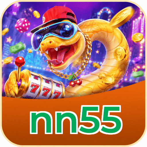 nn55 Troubleshooting
