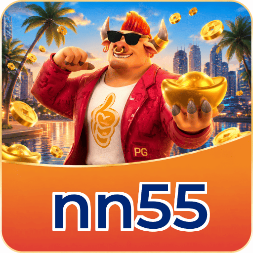nn55 FAQ instalar app