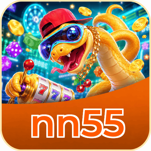 nn55 Security