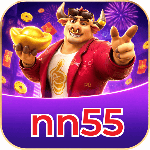 nn55 Interface