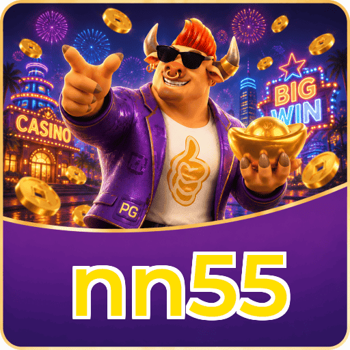 nn55 Installation Guide