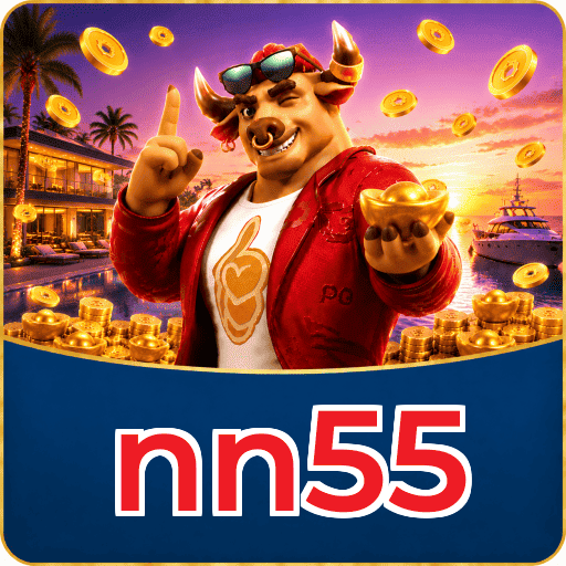 nn55 App FAQ
